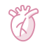 心臓・血管アイコン