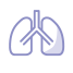 肺アイコン